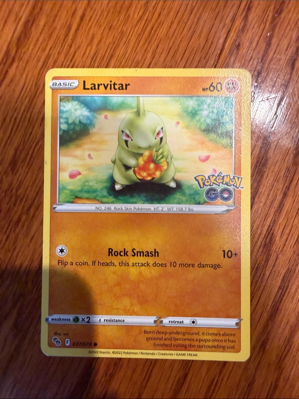 Pokemon Larvitar Yellow Orange Trading Card